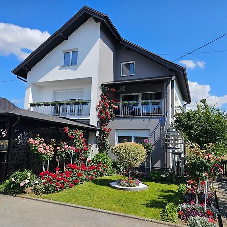 Apartman Vesna 别洛瓦尔 外观 照片
